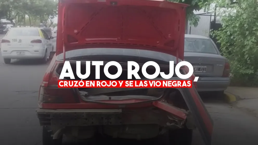 Fotos gentiliza: Armando Garcés