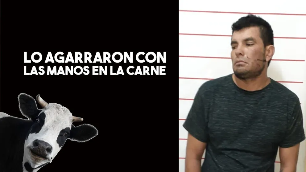 Un hombre trató de robarse una media res y terminó preso