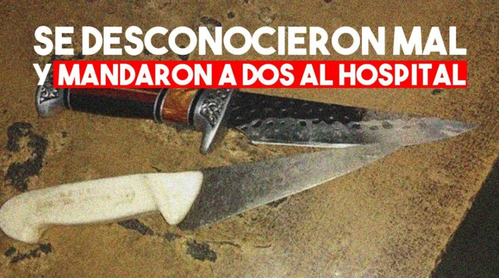 Una gresca terminó con dos personas con varias heridas y seis detenidos