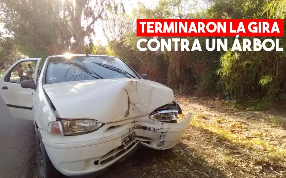 Iba borracho y por esquivar a un perro, chocó contra un árbol