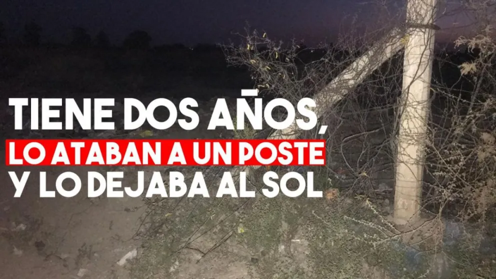 Aquí encontraron atado al niño de dos años