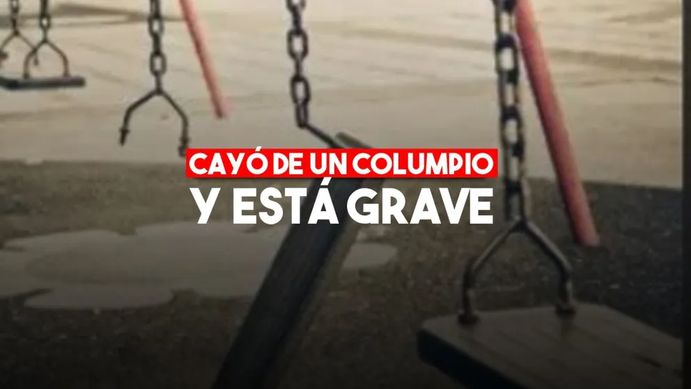 Se le rompió el columpio, sufrió un golpe en la cabeza y está delicado