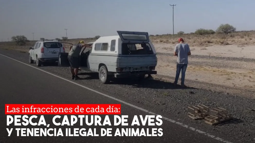 Ambiente realizó operativos de conservación de fauna en toda la provincia