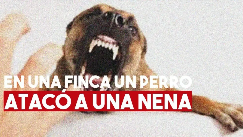 Un perro mordió a una nena de cuatro años y tuvieron que operarla