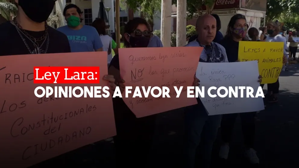 Ley Lara: un grupo de proteccionistas mostró su descontento con el proyecto