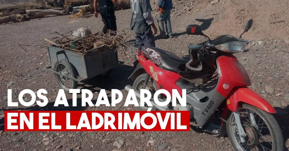 Robaron en un local y armaron un carrito para llevarse las cosas