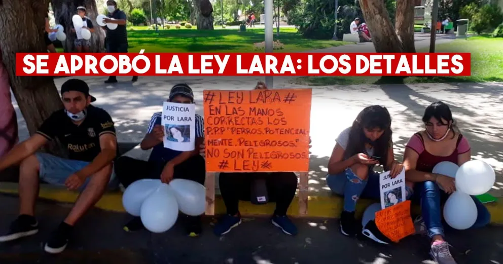 Se aprobó la Tenencia Responsable de Perros potencialmente peligrosos