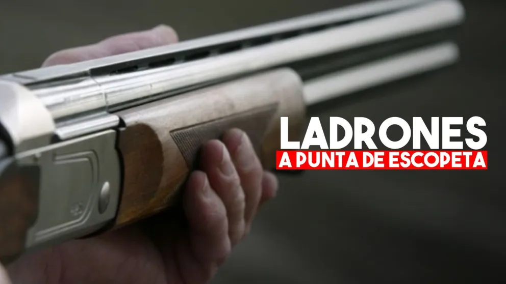 Un grupo de delincuentes asaltó a un hombre y a un matrimonio de ancianos