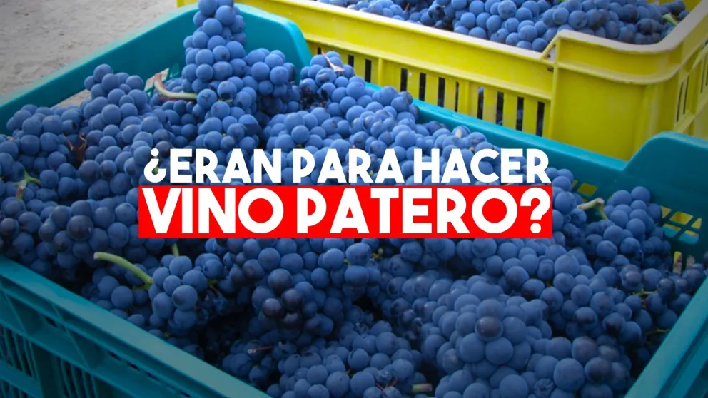 Los atraparon cuando intentaban robar cajones de uva