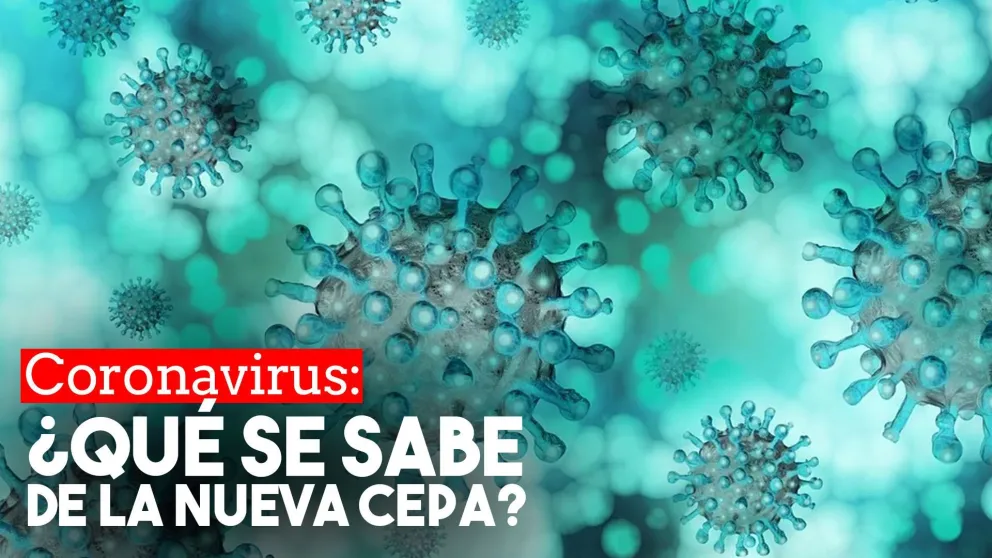 Una nueva cepa de coronavirus causa alarma en Europa