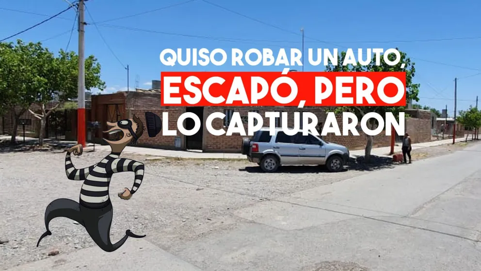 Ladrón de auto tras las rejas