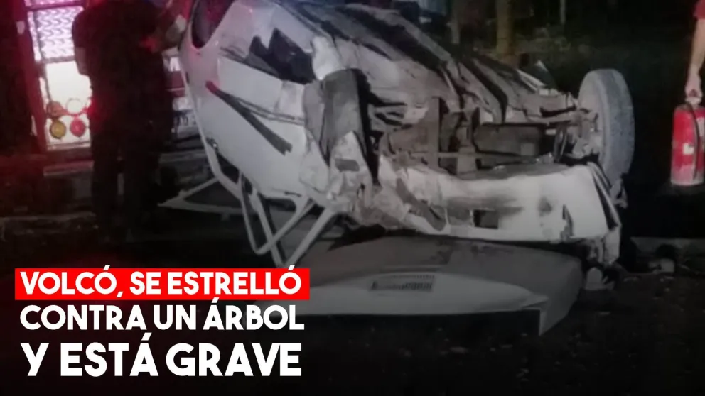 Volcó y se estrelló contra un árbol