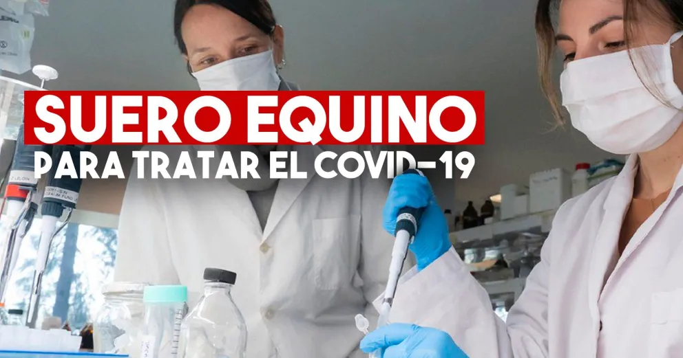 La Anmat autorizó el uso de suero equino para el tratamiento de coronavirus