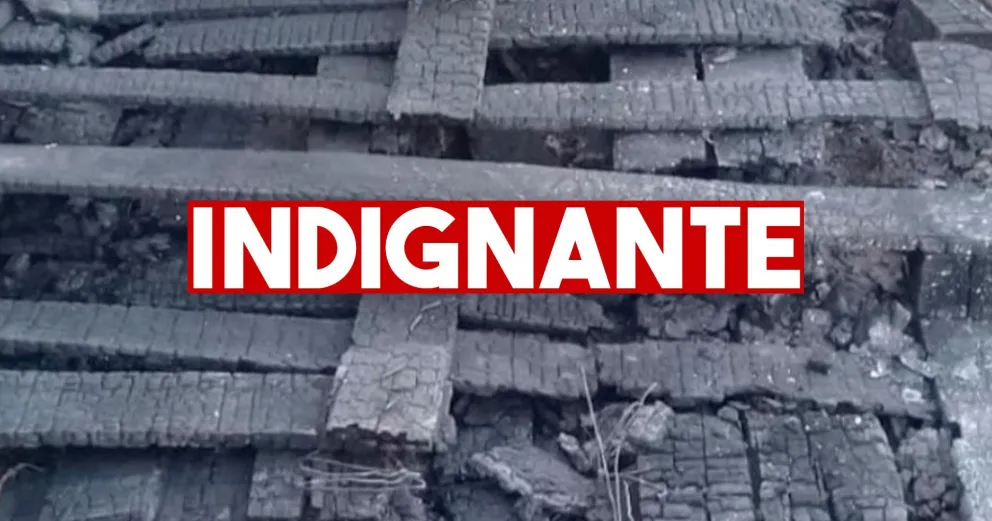 Quemaron el refugio de 30 callejeritos en San Ceferino
