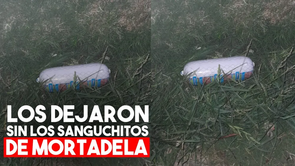 Detuvieron a dos menores por robarse dos bochas de mortadela