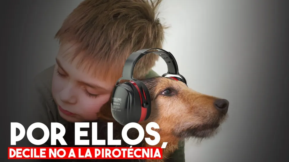 Estos son los municipios que prohibieron el uso de pirotecnia