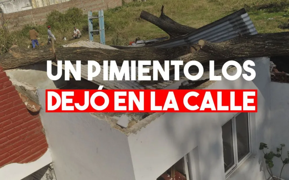 Un árbol cayó sobre una casa y dejó en la calle a una familia