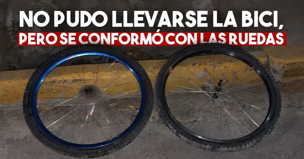 Se robó dos ruedas de bicicleta e intentó darse a la fuga