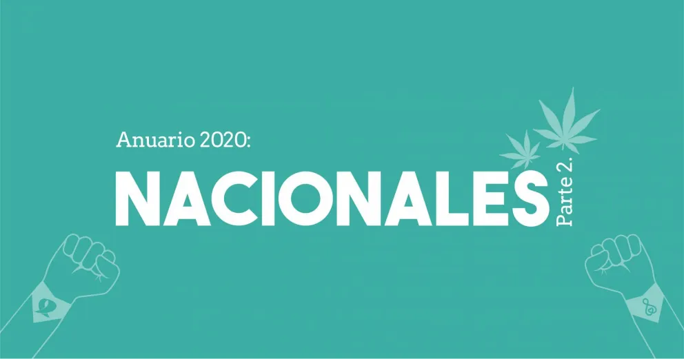 Argentina verde: cannabis y Ley de Interrupción Voluntaria del Embarazo