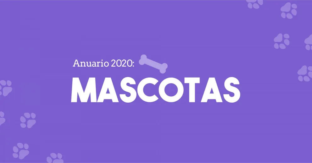Los amigos de cuatro patas: historias de amor, desamor y también de dolor