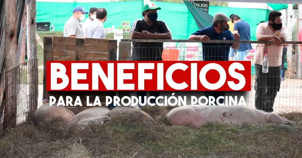 El proyecto porcino de Jáchal recibió un importante aporte de Minas Argentinas