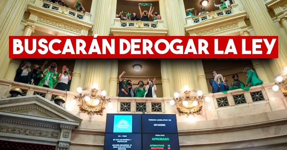 Dignidad Ciudadana repudió la sanción de la IVE y buscarán su derogación