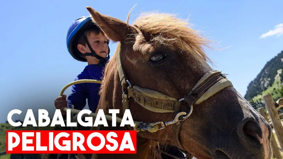 Dos niños se cayeron de un caballo y terminaron internados