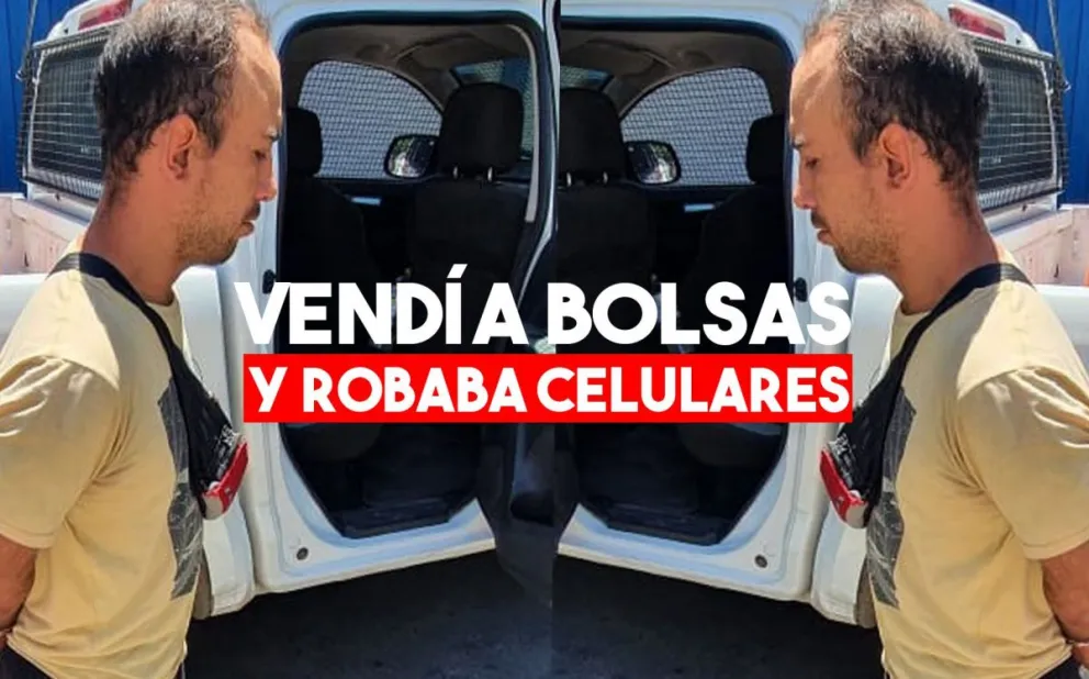 Vendía bolsas de residuos y aprovechó para robar un celular