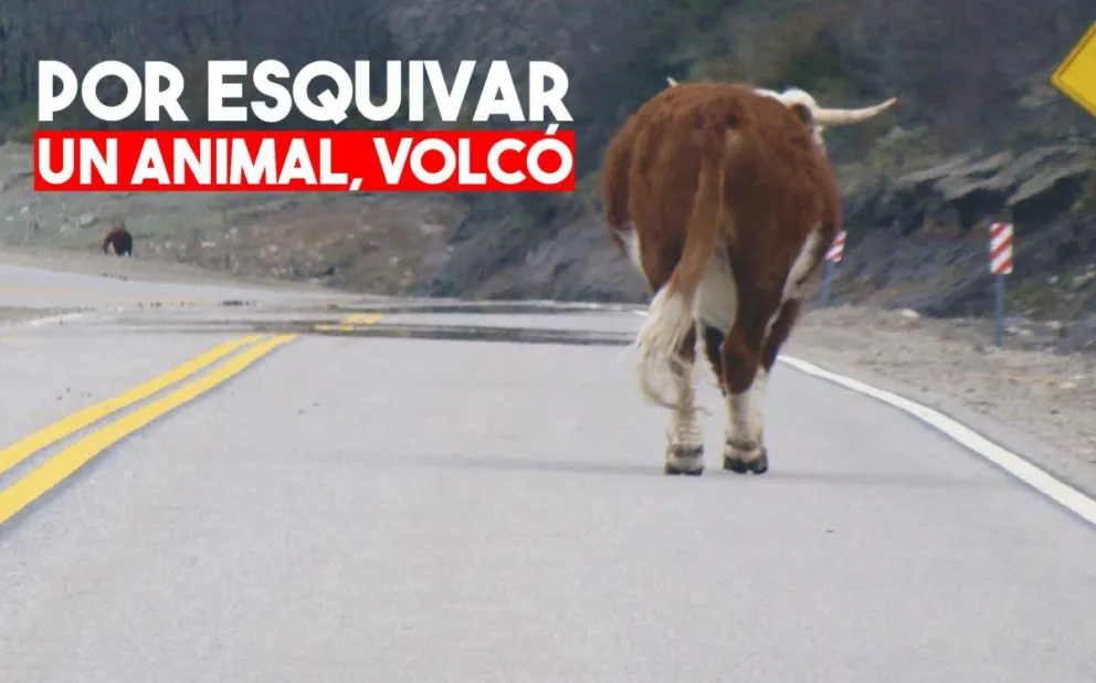 Se le atravesó un animal en la ruta y su camioneta volcó