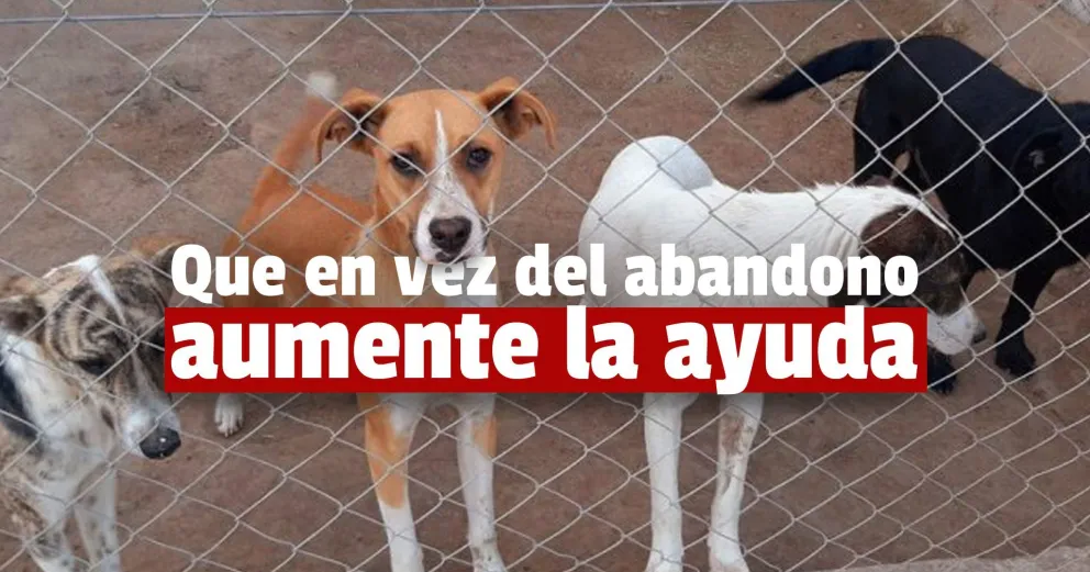 Denuncian que en Jáchal aumentó el abandono de perros