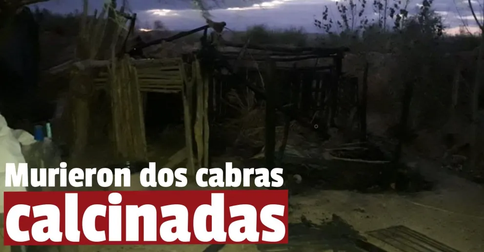 Sarmiento: murieron animales en el incendio de un corral