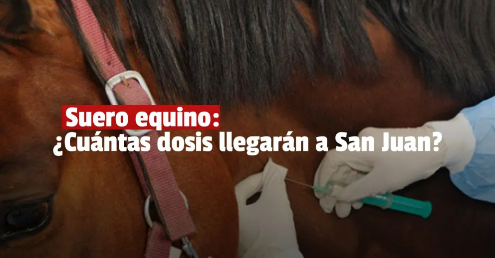 San Juan pidió 500 dosis de suero equino hiperinmune