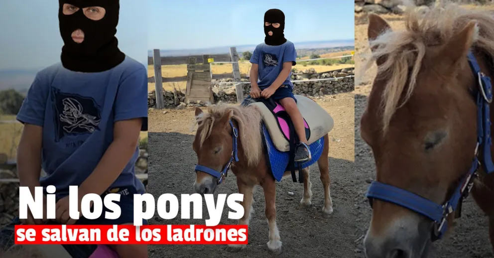 Se robaron cuatro caballos y un pony en Rawson y aparecieron en Santa Lucía