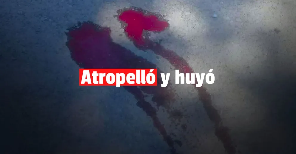 Denunció que una movilidad de OSSE atropelló a su perra