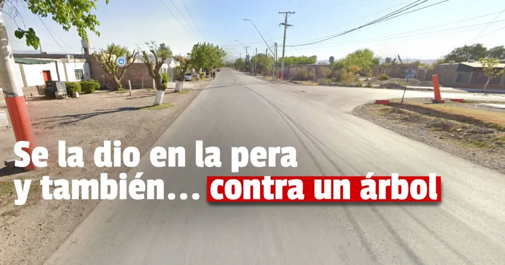 Manejaba ebrio y chocó contra un árbol
