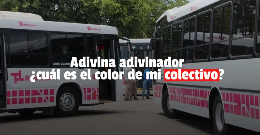Despejá las dudas sobre la RedTulum