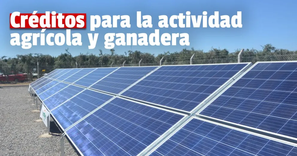 Conocé cómo tramitar las líneas de crédito para energía fotovoltaica, riego y perforaciones