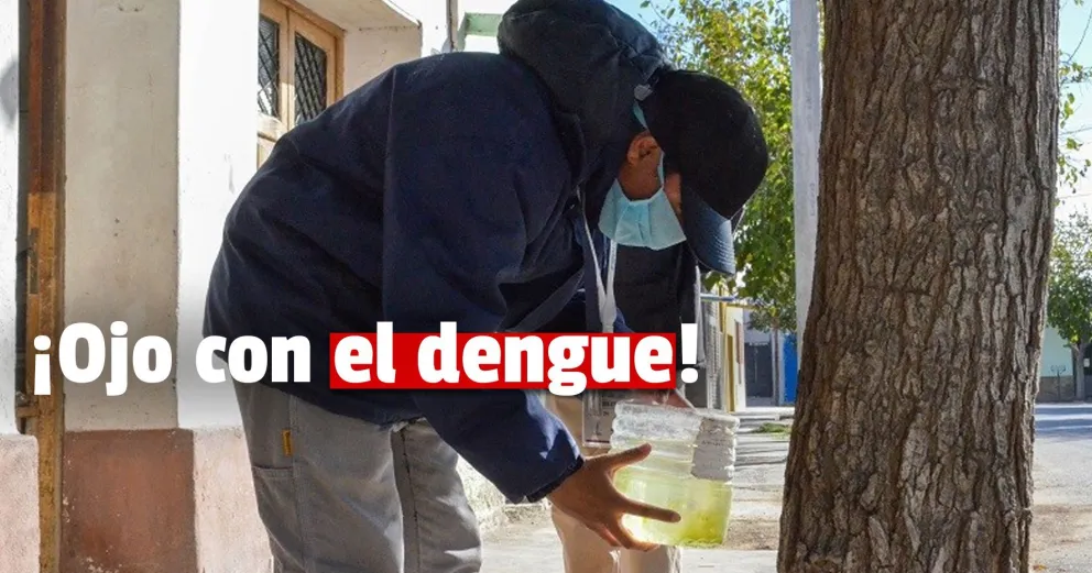 Así podés eliminar los criaderos de mosquito en épocas de lluvia