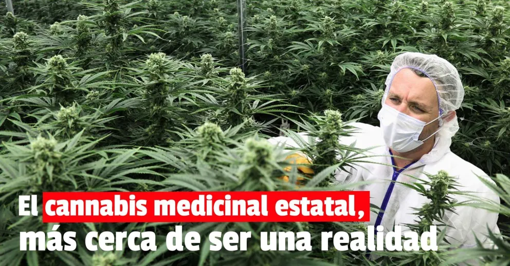 Más de 10 empresas interesadas en el cierre del predio de CanMe