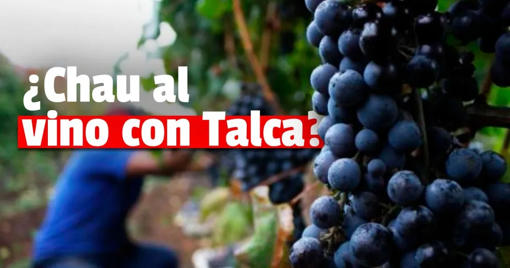 Viñateros pidieron a las autoridades eliminar el vino de la lista del Programa Precios Máximos