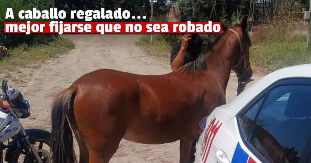 Vio fotos de su caballo robado en las redes y denunció para recuperarlo