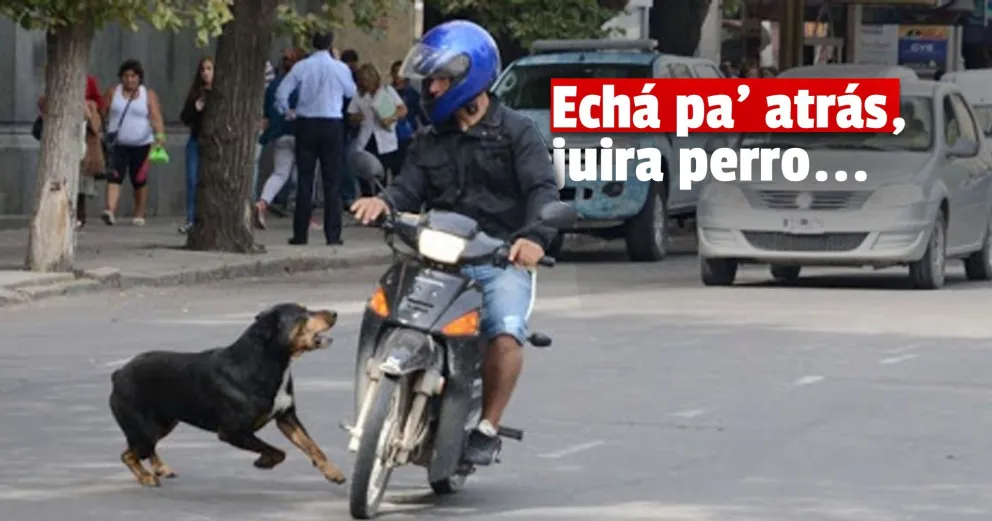 Por esquivar un perro, terminó con el tobillo fracturado