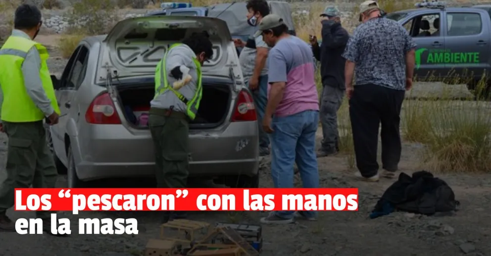 Se realizaron 7 infracciones por depredación de fauna