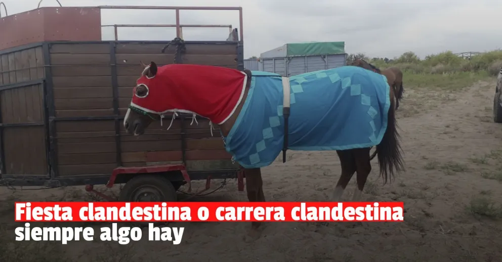 San Martín: seis detenidos por una carrera ilegal de caballos