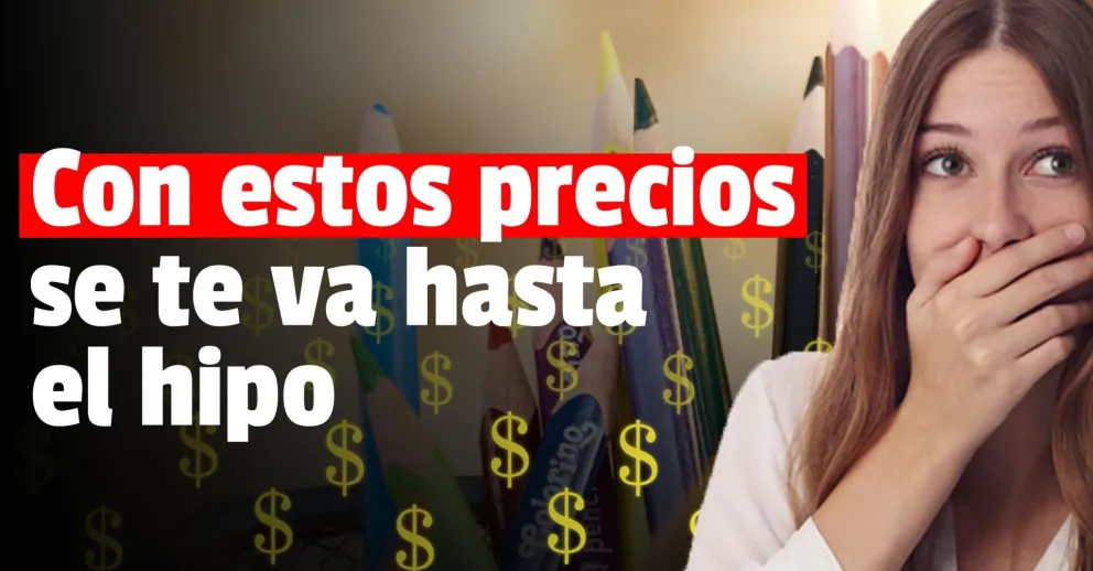 ¡Se acercan las clases! conocé los precios de los útiles escolares
