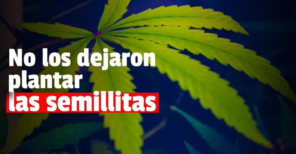 En dos operativos diferentes Gendarmería decomisó marihuana y éxtasis