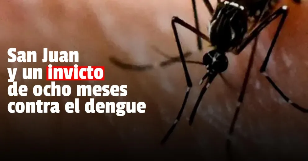 Hace 8 meses que San Juan no registra nuevos casos de dengue