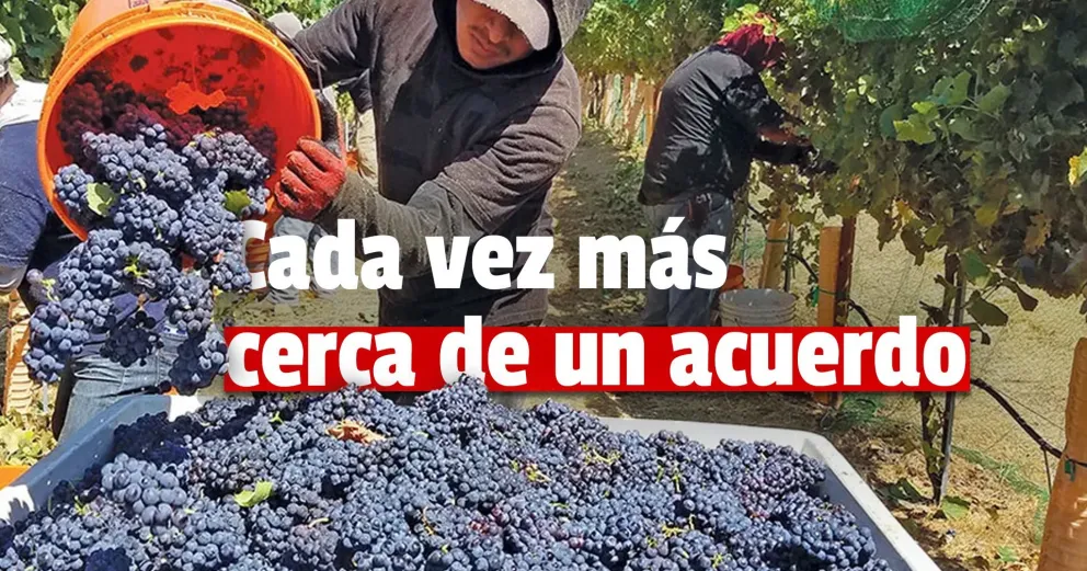 Realizaron una nueva reunión para acordar el precio del kilo de uva