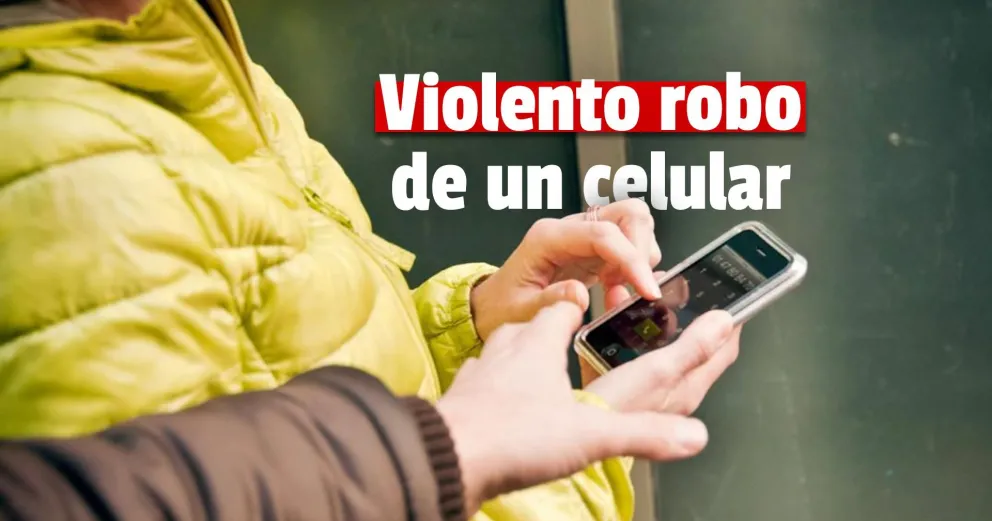 Asaltaron a una mujer, la tiraron al suelo y comenzaron a patearla