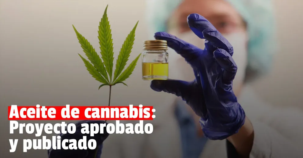 Se aprobó el plan para cultivar canabbis medicinal en San Juan